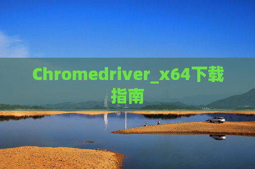 Chromedriver_x64下载指南